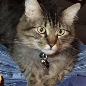 Meet your Posher, Paula